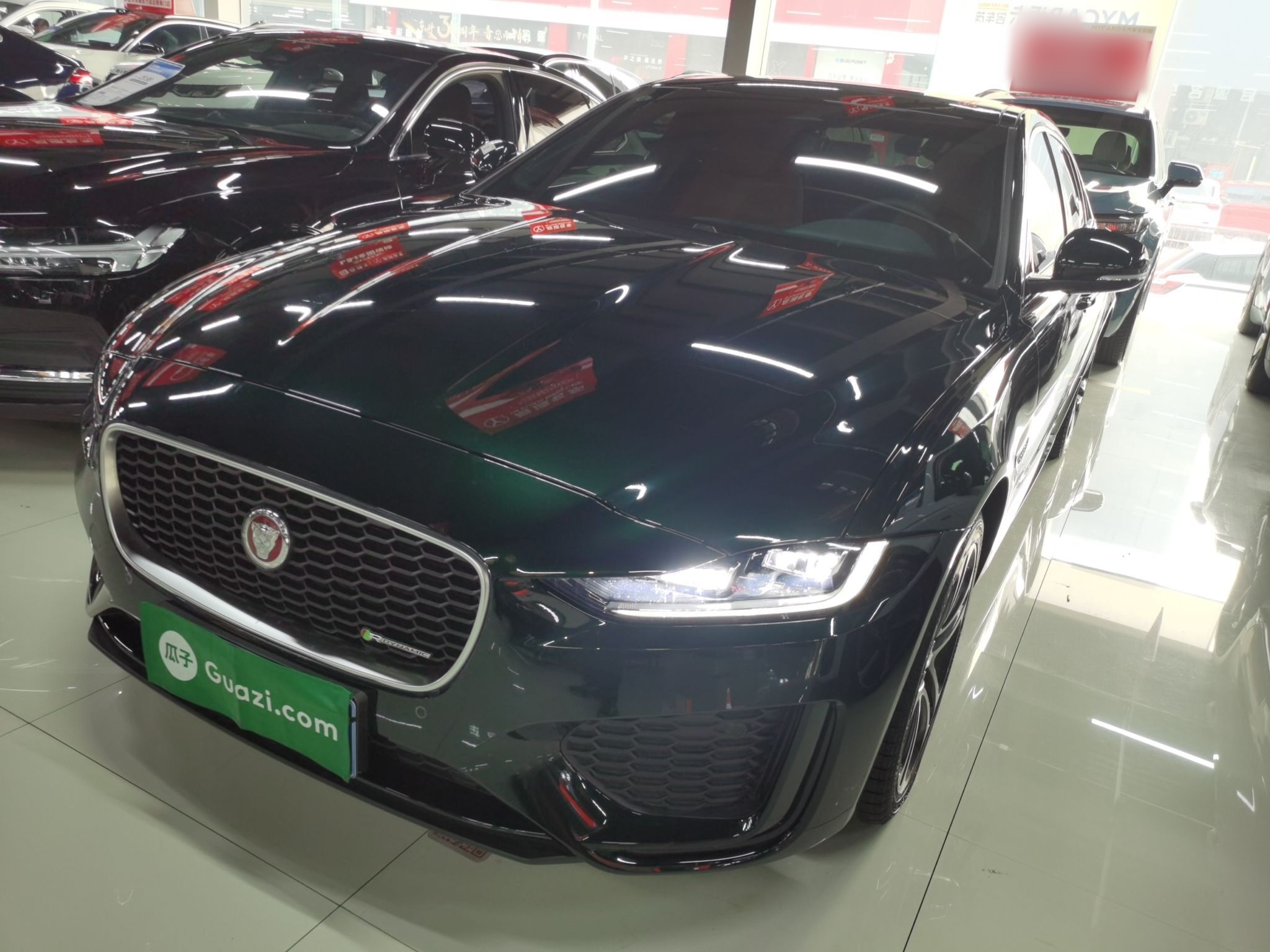 Parte inferior delantera