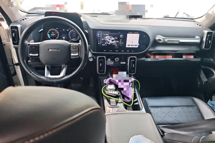 Used Haval DARGO 2021 2.0T DCT 4x4 Chinese Rural Dog Edition