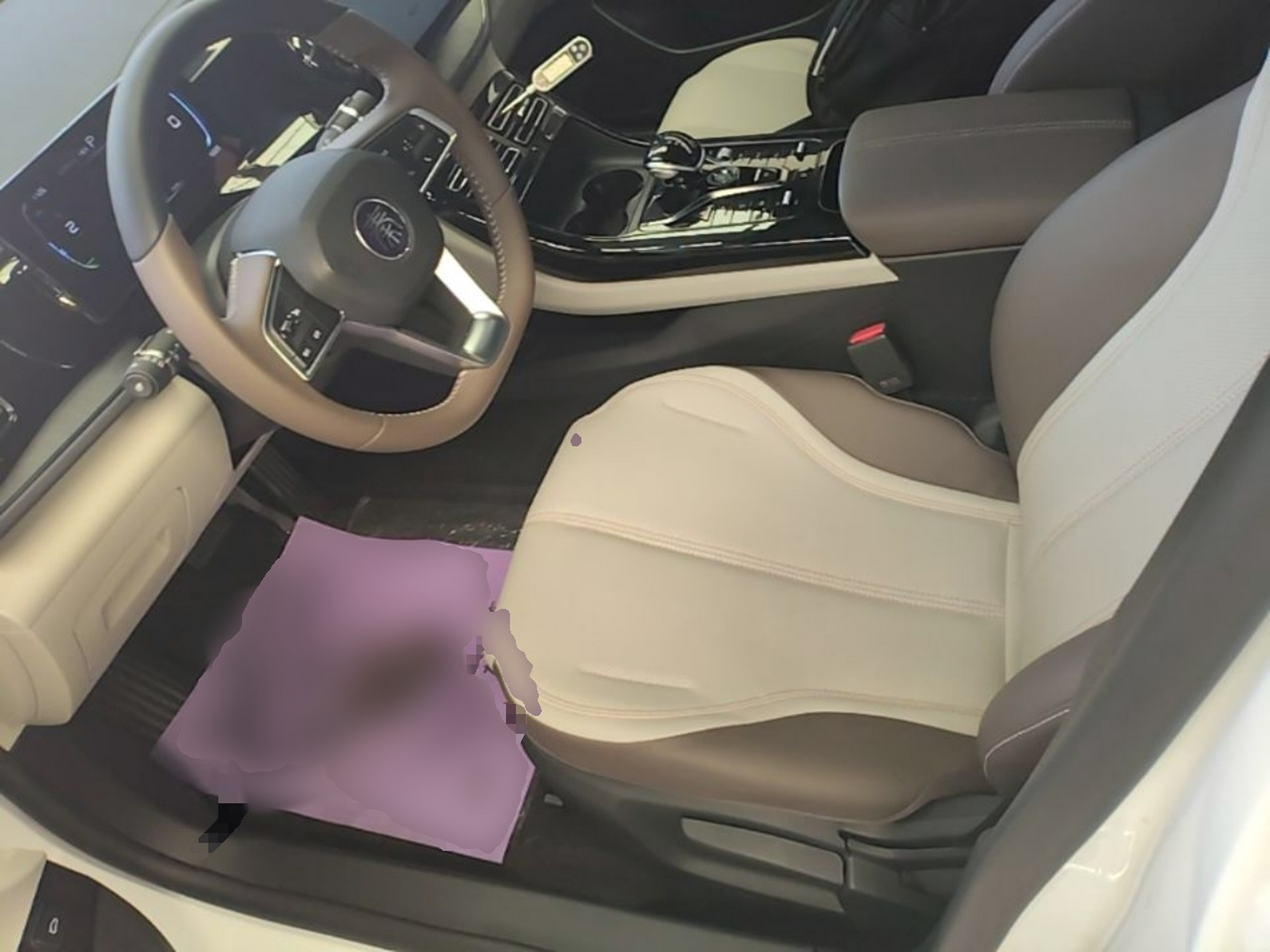 Interior delantero