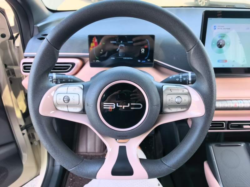 Used BYD Seagull 2023 Active Version — 10