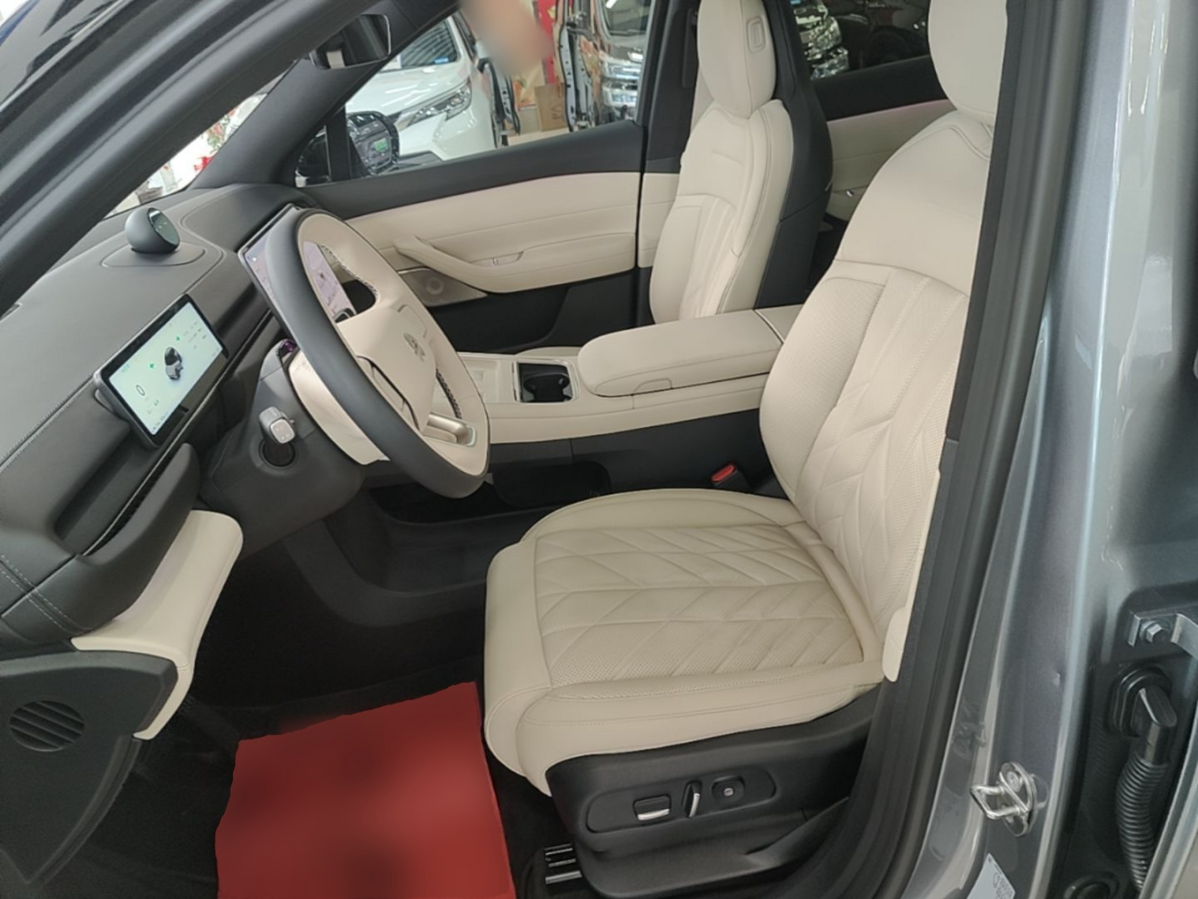 Interior delantero