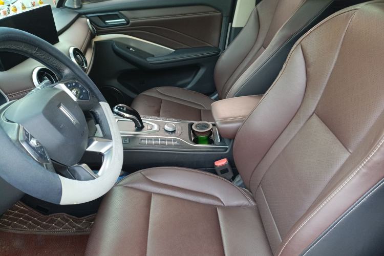 Used Wey VV6 2020 2.0T Two-Wheel Drive Smart Protection+ Left Front Seat