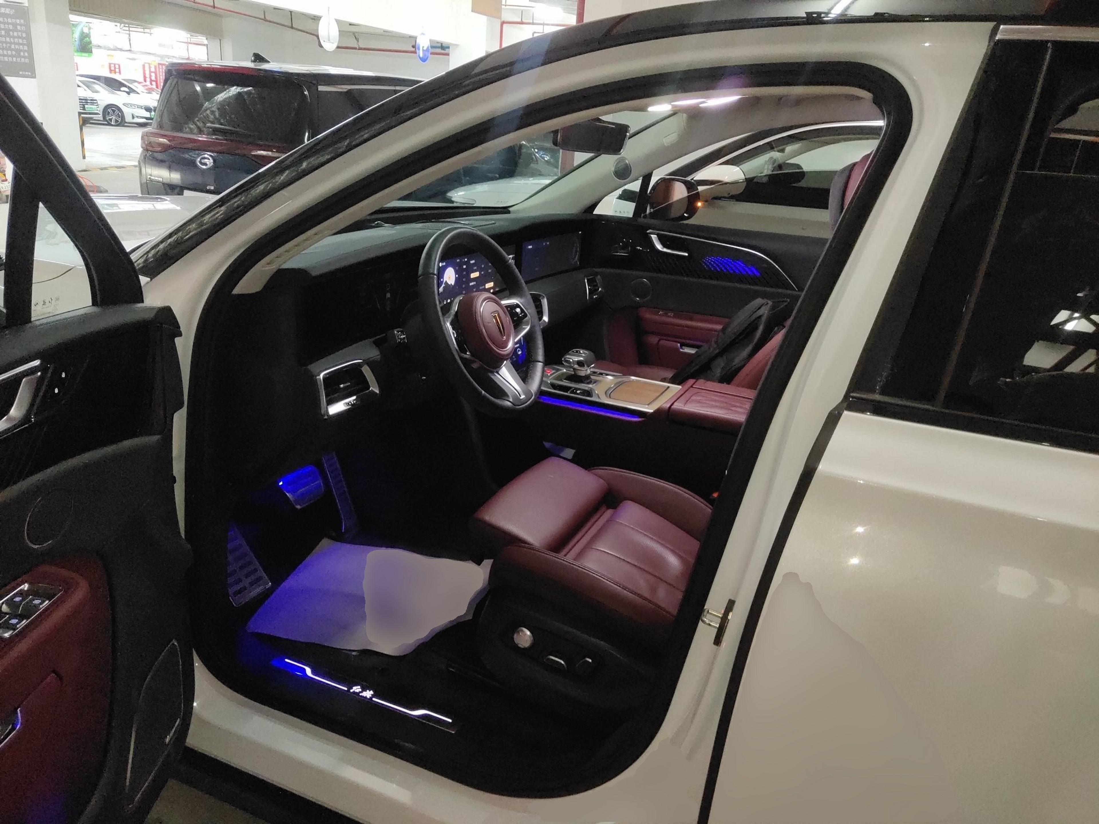 Interior delantero