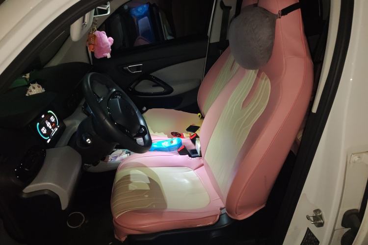 Used Leapmotor T03 2022 Glazed Edition Left Front Seat