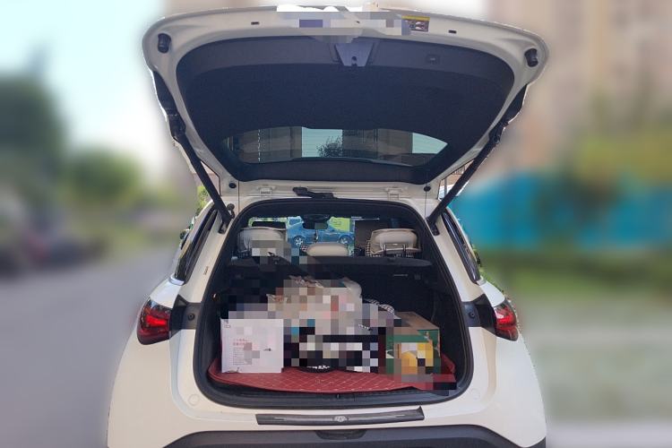 Used smart #1 2024 Platinum Edition