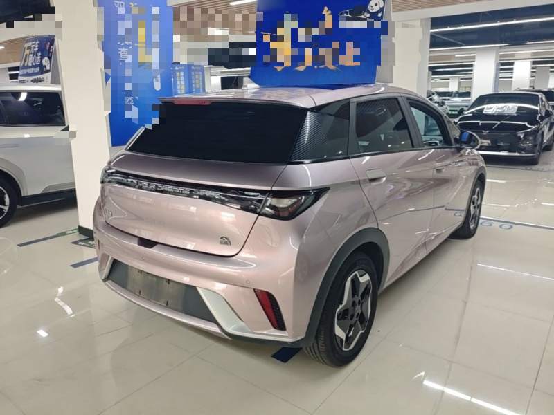 Used BYD Dolphin 2021 405 km Fashion Edition — 6