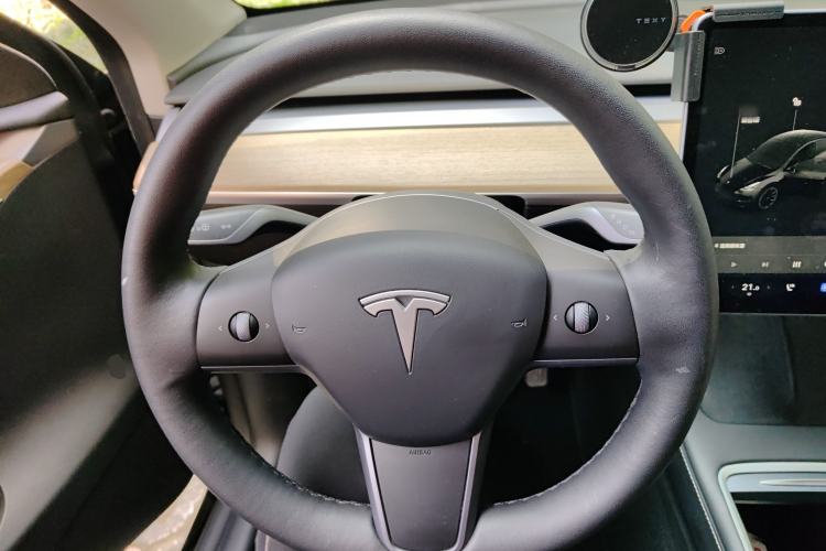 Used Tesla Model Y 2021 Standard Range Rear-Wheel Drive Version
