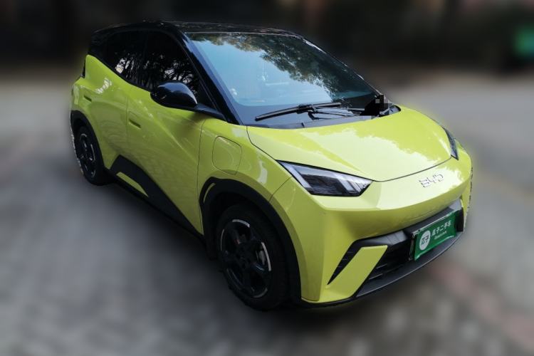 Used BYD Seagull 2024 Honor Edition 305km Freedom Version
