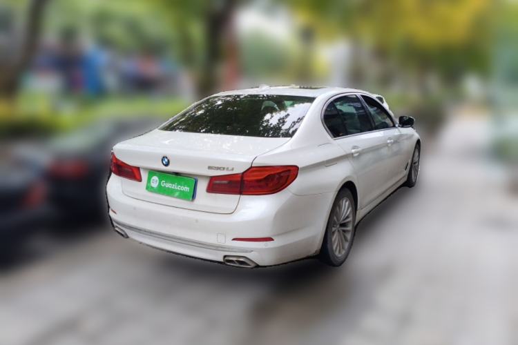 Used BMW 5 Series 2019 530Li Leading Model Luxury Package Rear Right 45 Deg