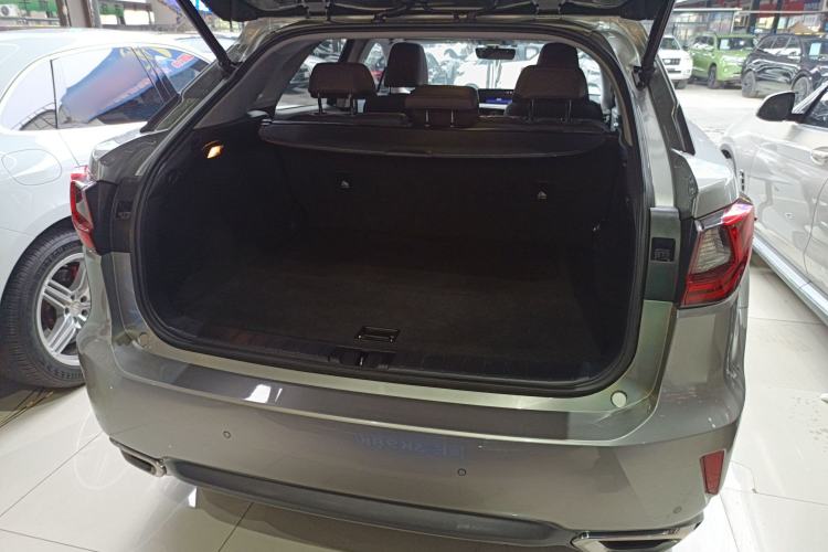 Used Lexus RX 2016 300 Two-Wheel Drive Comfort Edition China VI Standard