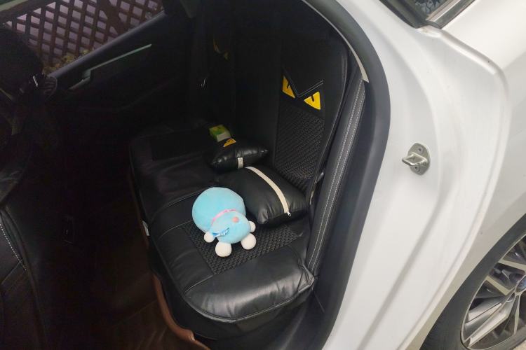 Used BYD Qin Pro New Energy 2018 DM 1.5TI Automatic Smart Connect Elite Model Left Rear Seat