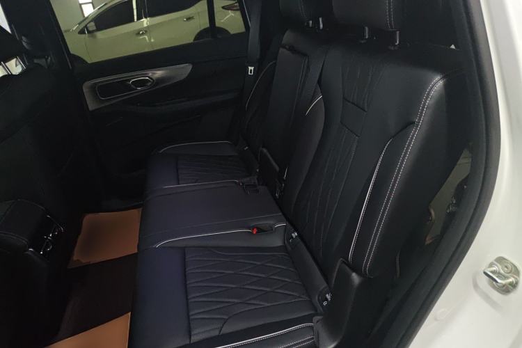 Used GAC Trumpchi GS8 2025 Linghang Series 2.0 TGDI Two-Wheel-Drive Luxury Edition 5 Seats Left Rear Seat