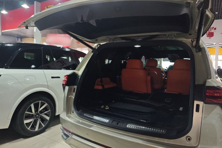 Used Wey Lanshan 2023 Four-Wheel Drive Ultra-Long Range Version Trunk