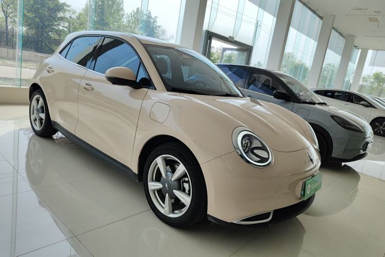 Used ORA Good Cat 2023 401 km Standard Range Premium Trim Ternary Lithium Front Right 45 Deg