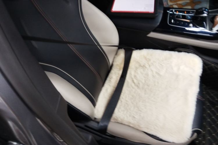 Used BYD Qin PLUS 2021 EV 400KM Luxury Model Right Front Seat