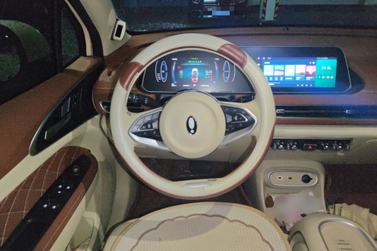 Used ORA Good Cat 2024 401 km Range Luxury Version 135 kW