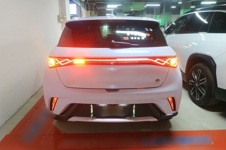 Used BYD Dolphin 2023 420 km Fashion Edition Rear