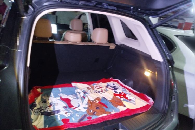 Used Landian E5 PLUS 2026 Model 165km Long-Range First-Adoption Version Ultra 5-seater