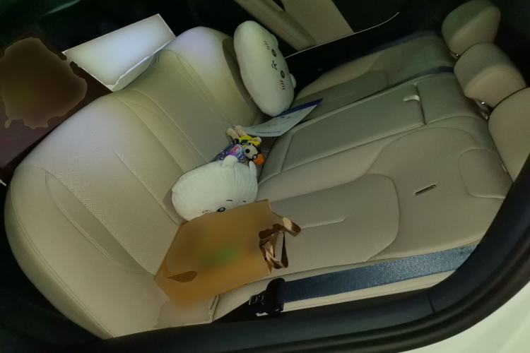 Used Lynk & Co Z20 2025 530 km Range Rear-Wheel Drive Max
