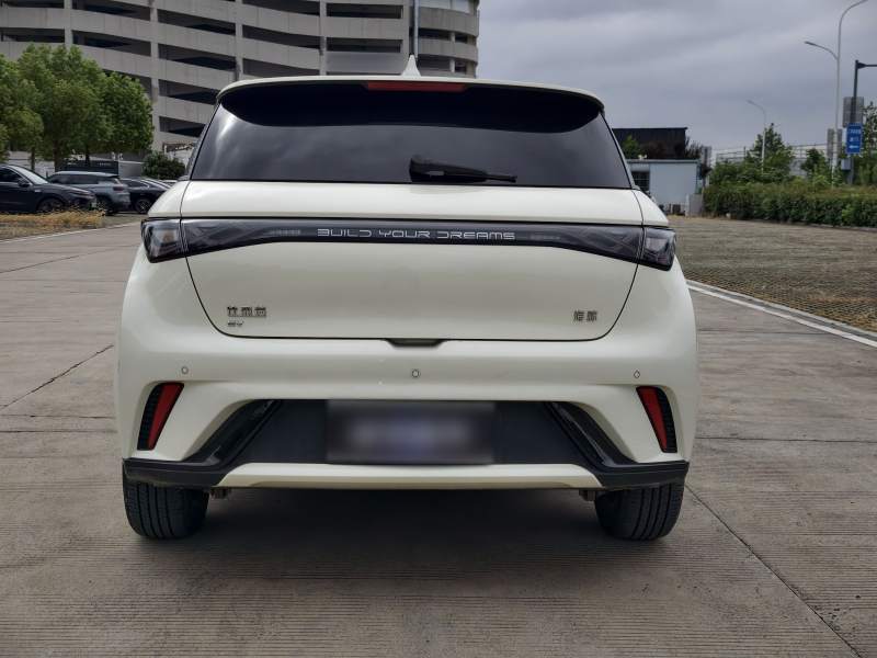 Used BYD Dolphin 2025 420km Fashion Edition — 31