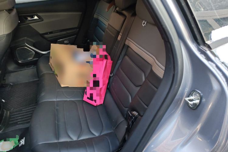 Used Citroen C5 X 2022 1.6T Xiang Bufan – Year of the Tiger New Beginnings Edition Left Rear Seat