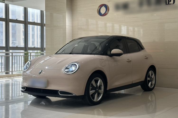 Used ORA Good Cat 2023 401 km Standard Range Luxury Version Lithium Iron Phosphate