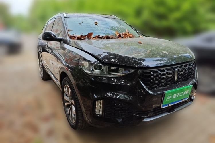 Used Wey VV6 2019 2.0T Two-Wheel-Drive Ultra-Luxury Version China VI Standard