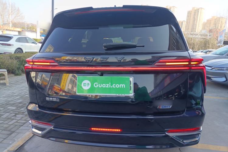 Used Wey Lanshan 2023 Two-Wheel Drive Long-Range Version