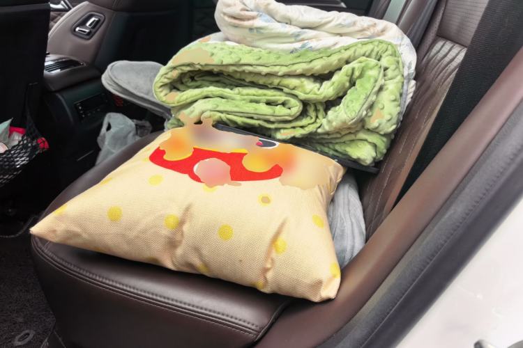 Used Haval H9 2020 2.0T Gasoline 4WD Premium Edition 5 Seats