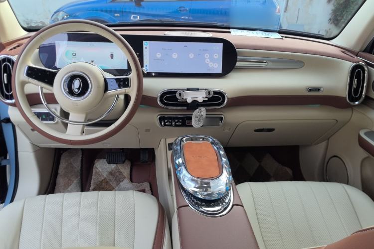 Used ORA Ballet Cat 2023 401 km Luxury Version
