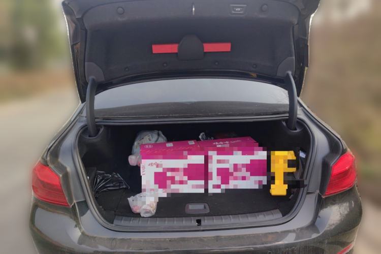 Used BMW 5 Series New Energy 2020 Mileage Upgrade Version 530Le Luxury Package
