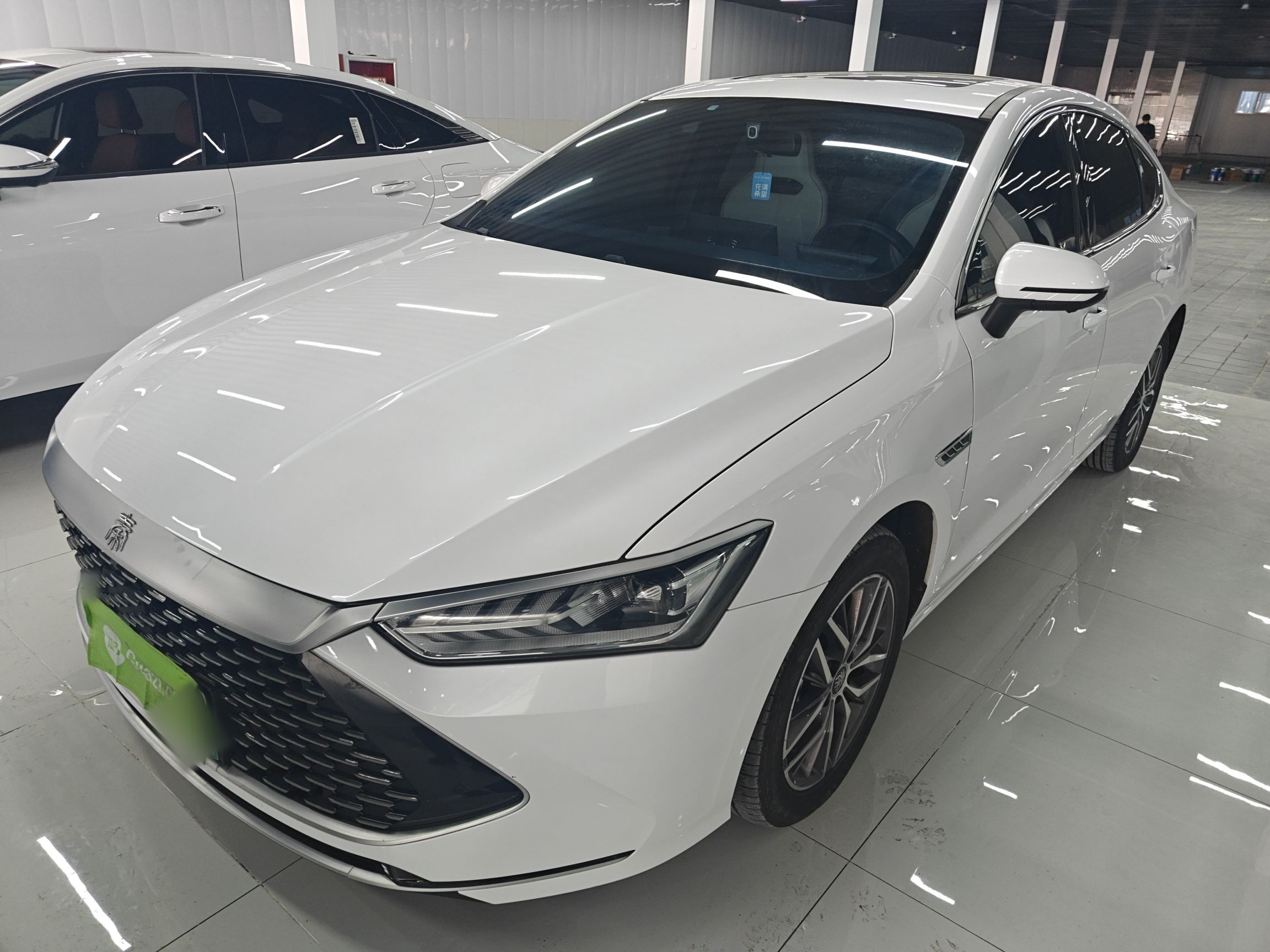 Parte inferior delantera