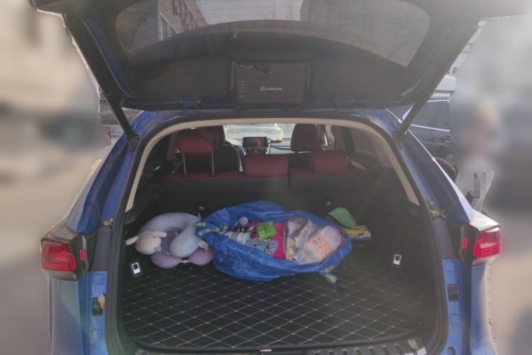 Used Lexus NX 2018 200 All-Wheel Drive FENGSHANG Version China VI Standard