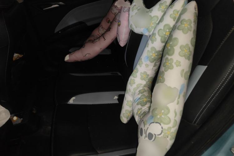 Used NETA V 2021 Standard Range Entertainment Edition
