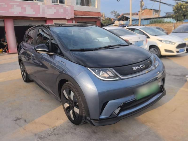 Used BYD Dolphin 2023 401km Knight Edition — 3