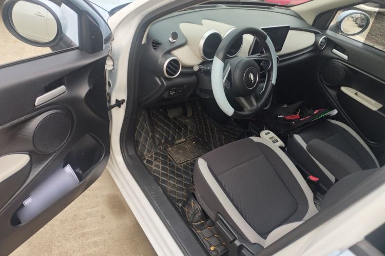 Used ORA Black Cat 2022 Updated Version 301 km Cute Pet Edition Lithium Iron Phosphate
