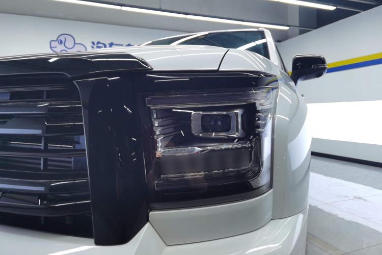 Used Haval H5 2023 2.0T Automatic Two-Wheel Drive LinkedIn Gasoline
