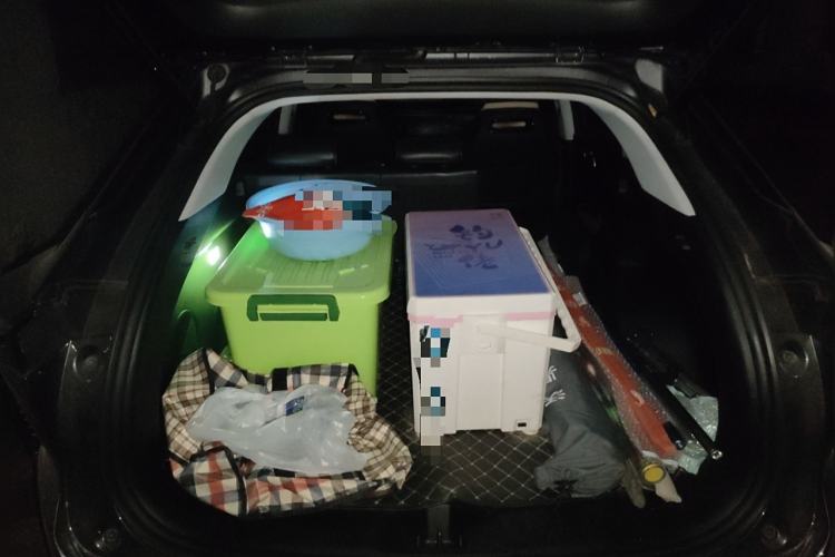 Used Oshan Z6 2022 Blue Whale 1.5T DCT Luxury Model
