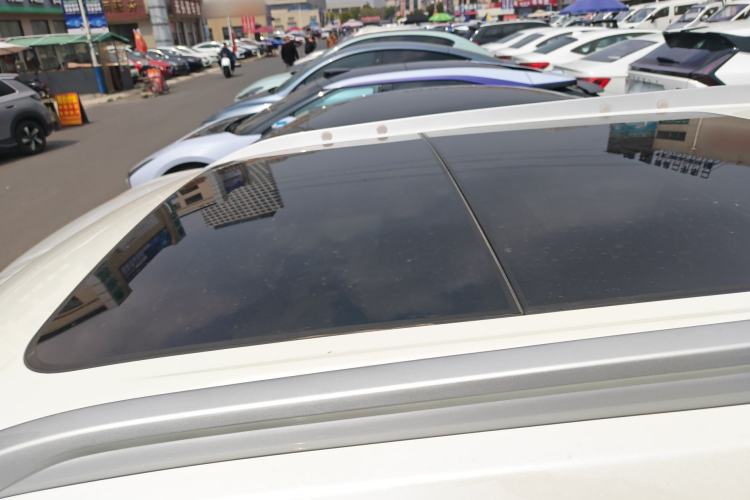 Used Venucia T60EV 2020 AI Enjoyment Model
