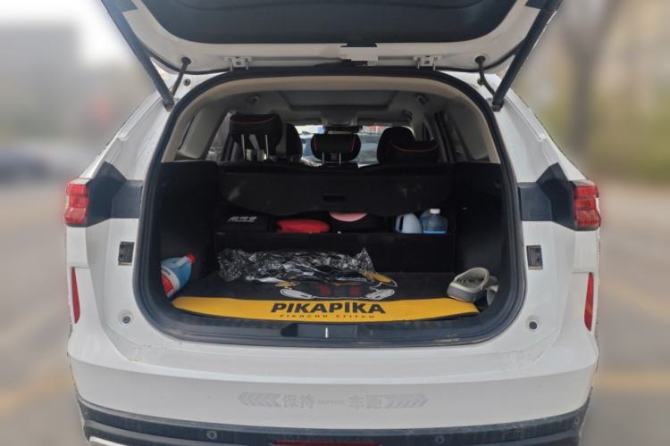 Used Haval H6 2021 3rd Generation 2.0T Automatic Two-Wheel Drive Max
