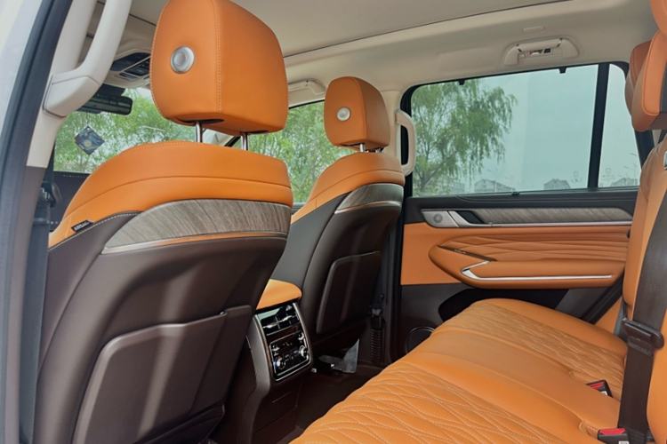 Used Tank 500 New Energy 2025 Hi4-Z
