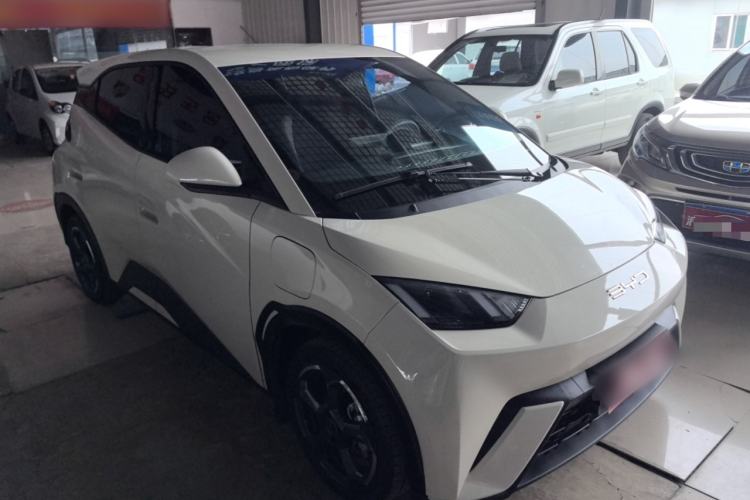 Used BYD Seagull 2023 Flying Edition