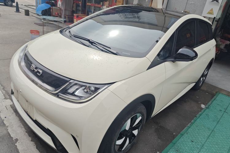 Used BYD Dolphin 2024 Honor Edition 420km Fashion Version