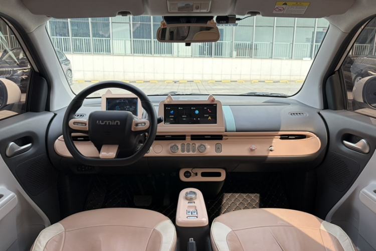 Used Qiyuan Lumin 2023 205km Xiangqin Version
