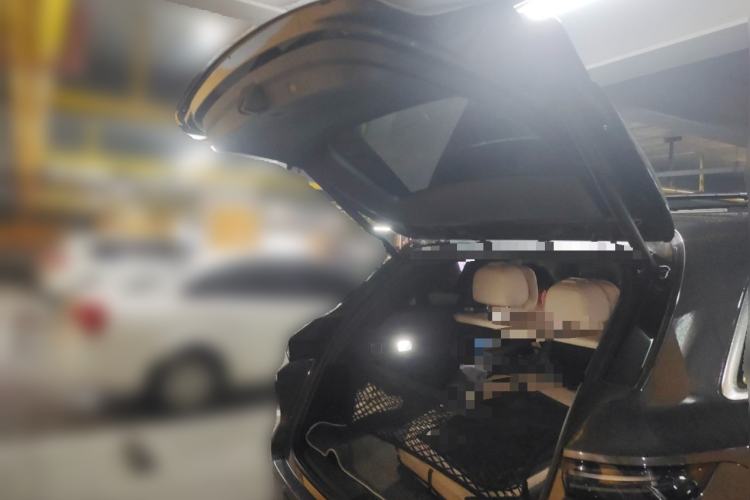 Used Li Auto L6 2024 Pro Model
