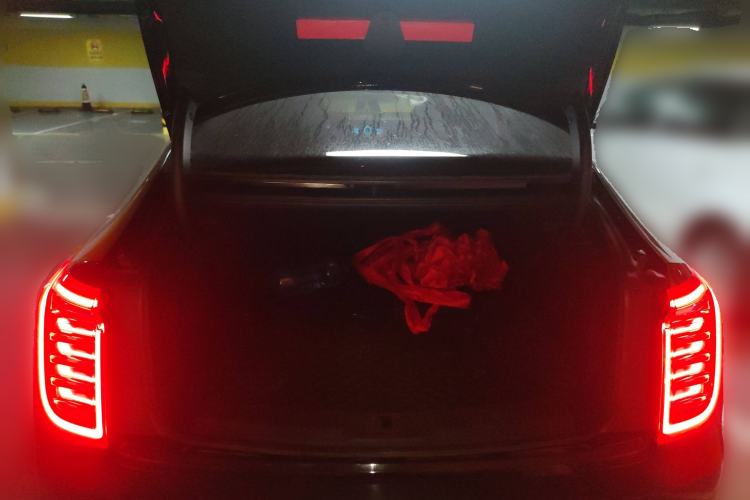 Used Hongqi H9 2020 2.0T Smart Connect Flagship Edition
