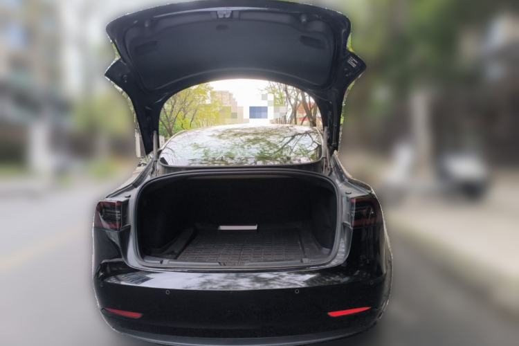 Used Tesla Model 3 2020 Revised Version Standard Range Rear-Wheel Drive – Upgraded Edition
