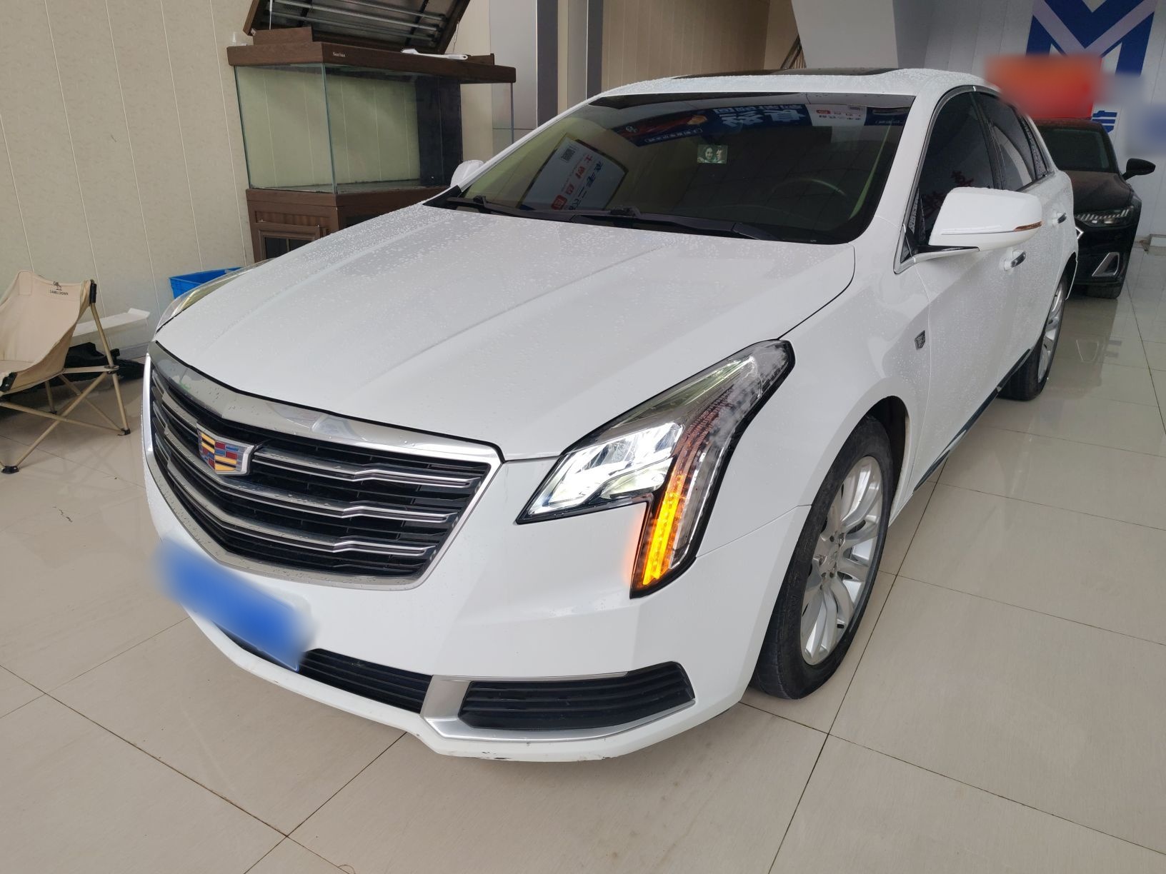 تحت مقدمة السيارة