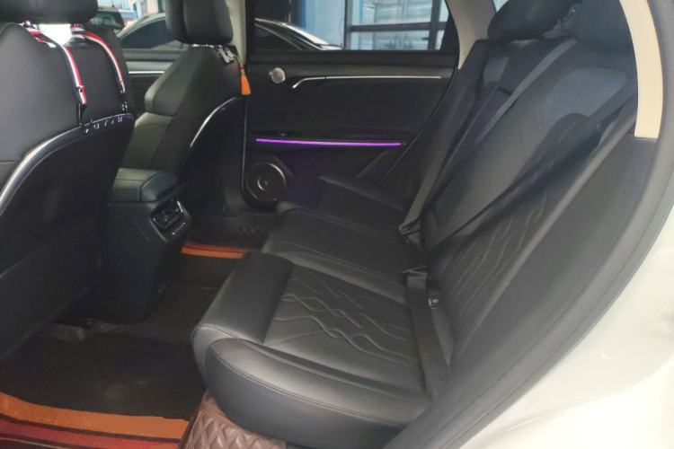 Used VOYAH FREE 2021 Four-Wheel Drive Standard Range-Extended Exclusive Luxury Package Left Rear Seat