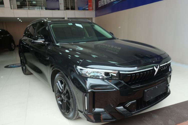 Used VOYAH FREE 2024 Ultra-Long Range Intelligent Driving Version